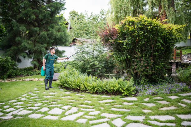 Best Pest Inspection Near Me  in Orangeburg, NY