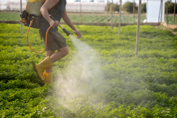 Best Commercial Pest Control Services  in Orangeburg, NY