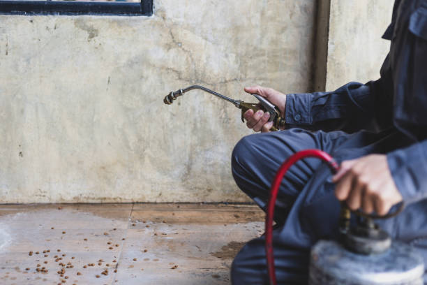 Best Local Pest Control Services  in Orangeburg, NY